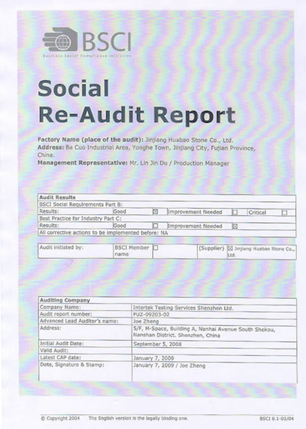 Social Re-Audit Report